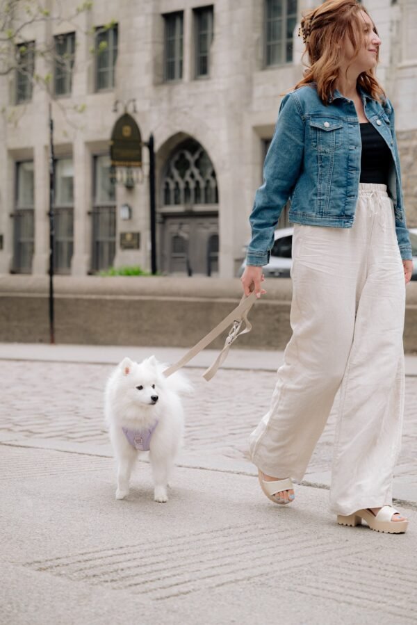 Harnais anti-traction Lilas – Image 4