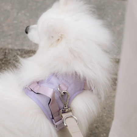 Harnais anti-traction Lilas