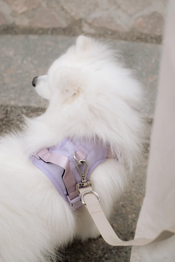 Harnais anti-traction Lilas
