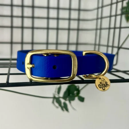Collier imperméable Bleu roi