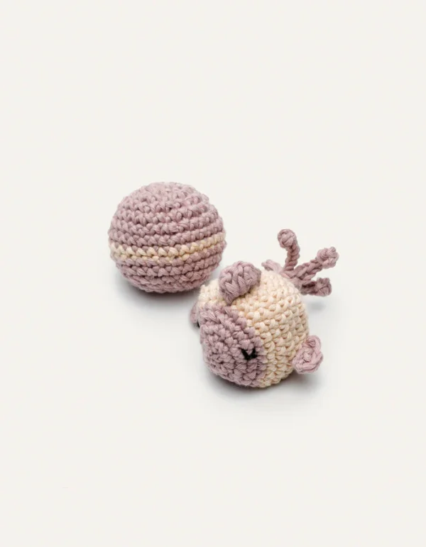 Poisson arc-en-ciel et balle en crochet