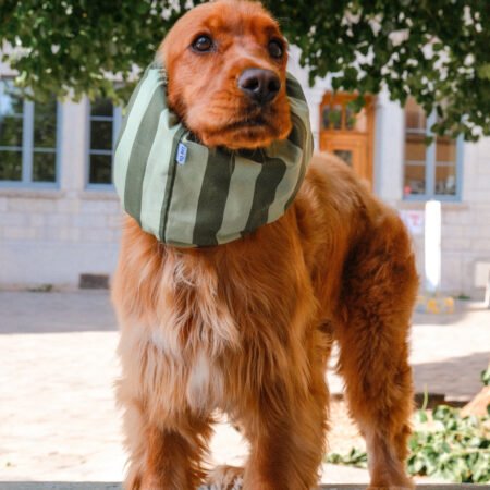 Snood en coton à rayures vertes
