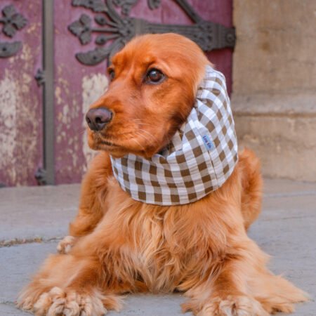 Snood en coton léger Barcelone