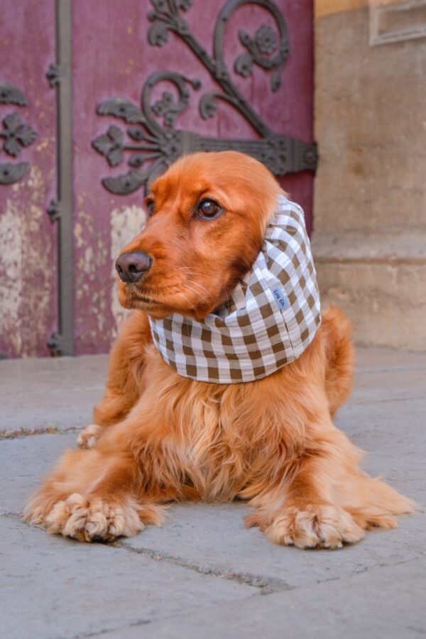 Snood en coton léger Barcelone