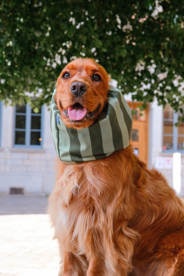 Snood en coton à rayures vertes – Image 2