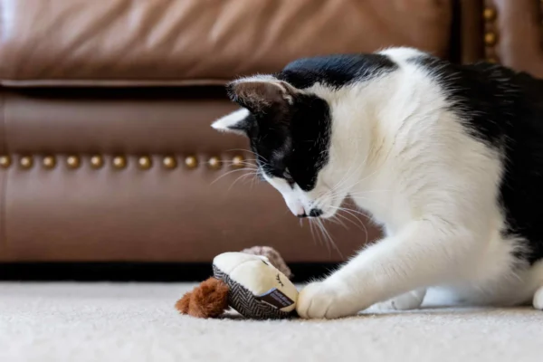 Jouets à l'herbe à chat – Image 4