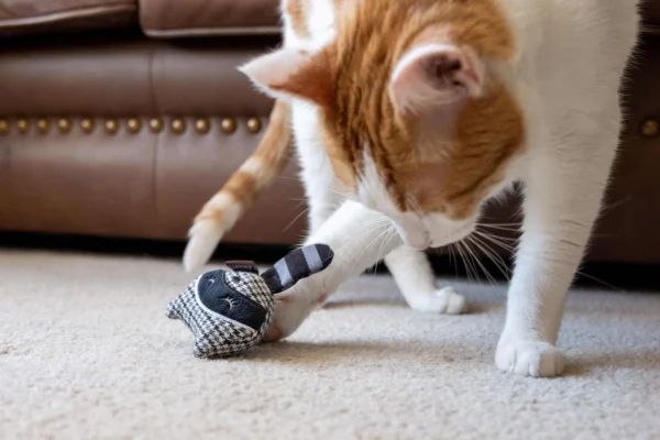 Jouets à l'herbe à chat – Image 3