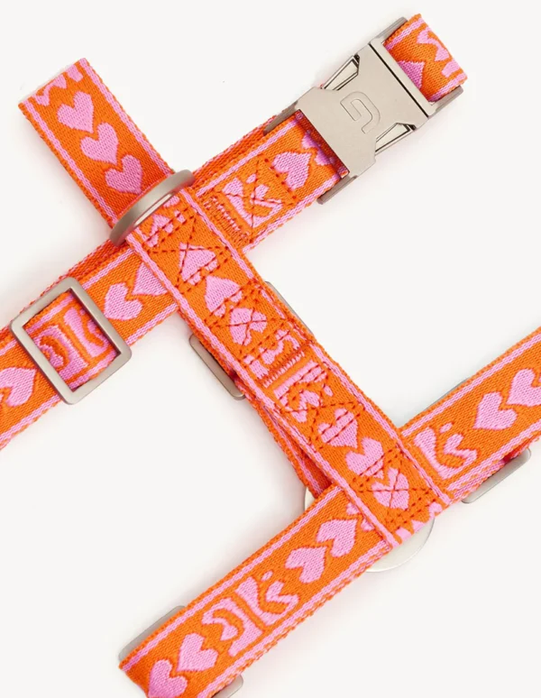 Harnais orange à coeurs roses – Image 4