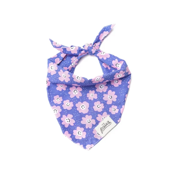Bandana à nouer Stardust