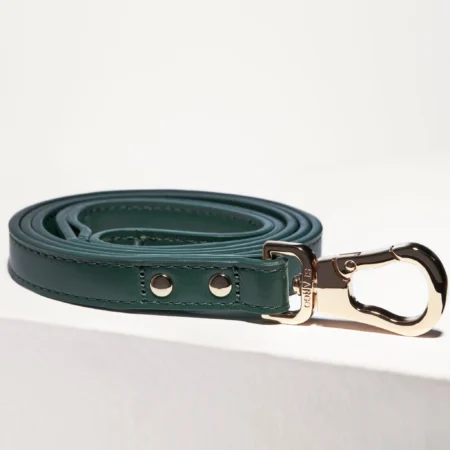 Laisse simple en cuir vegan Vert forêt