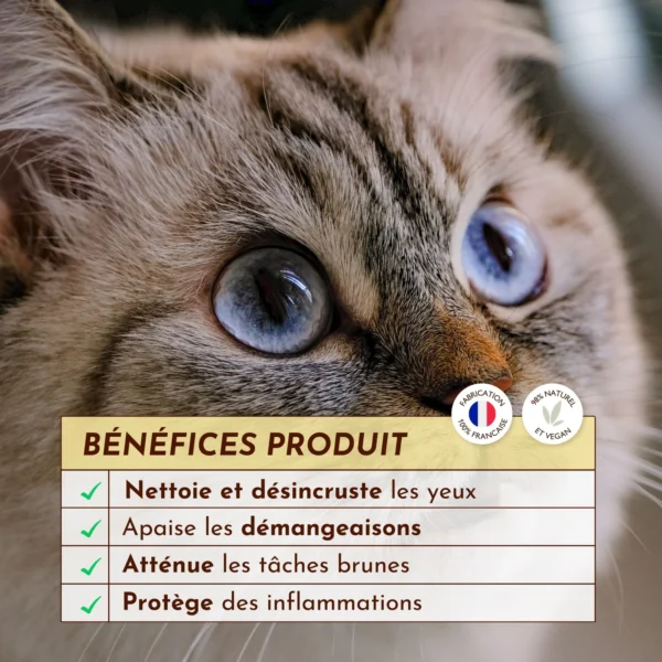 Gelée nettoyante Œil de Lynx – Image 3
