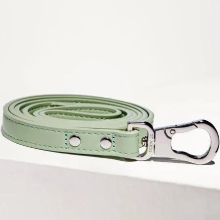 Laisse simple en cuir vegan Sauge