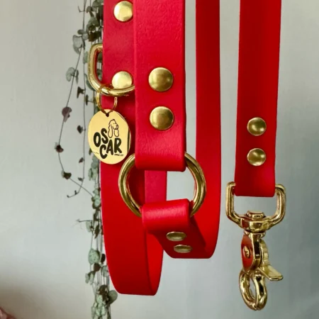 Laisse multi-positions imperméable <br>Rouge