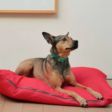 Coussin rouge