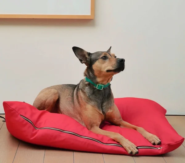 Coussin rouge