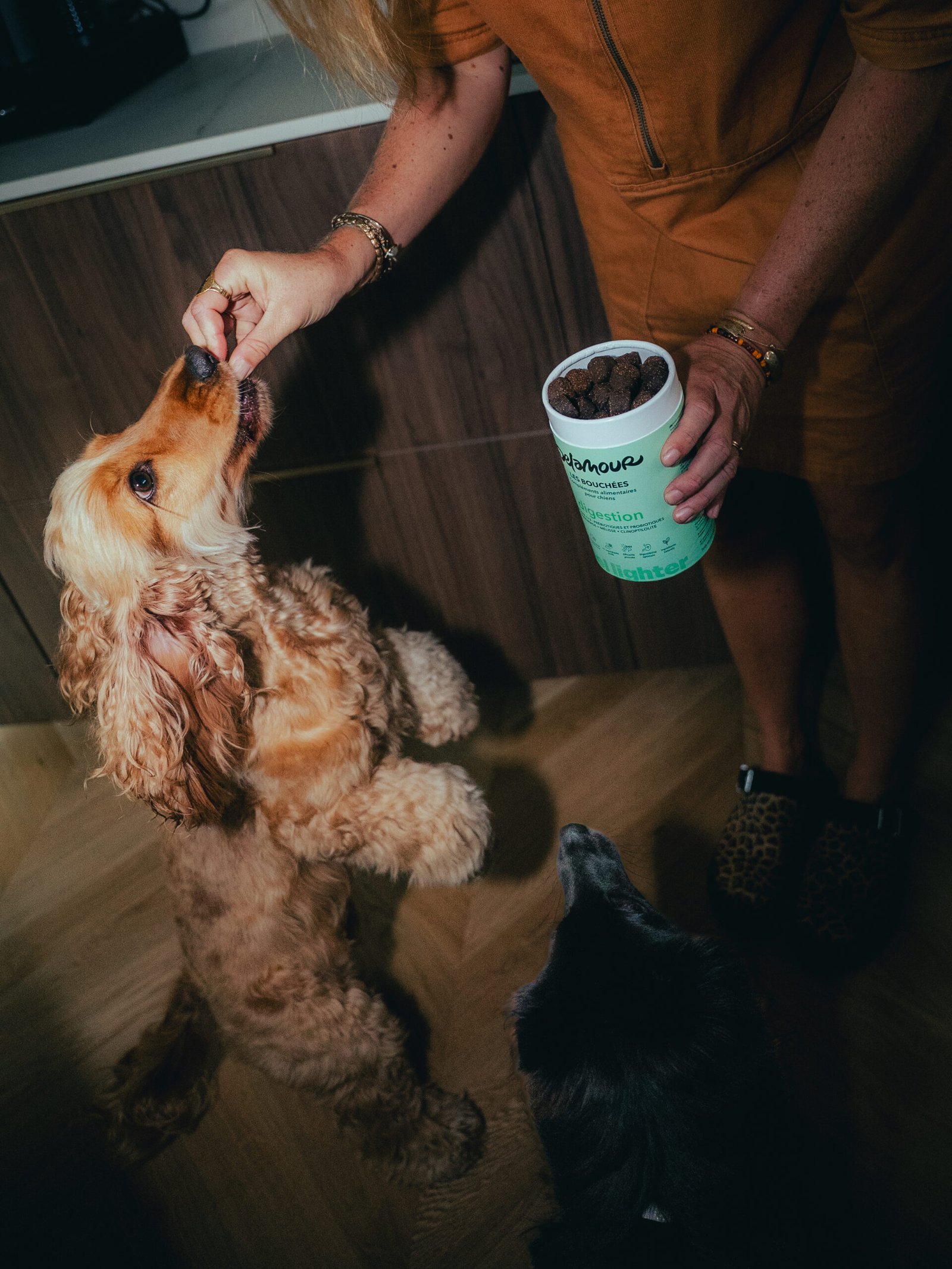 Bouchées Digestion – Image 4