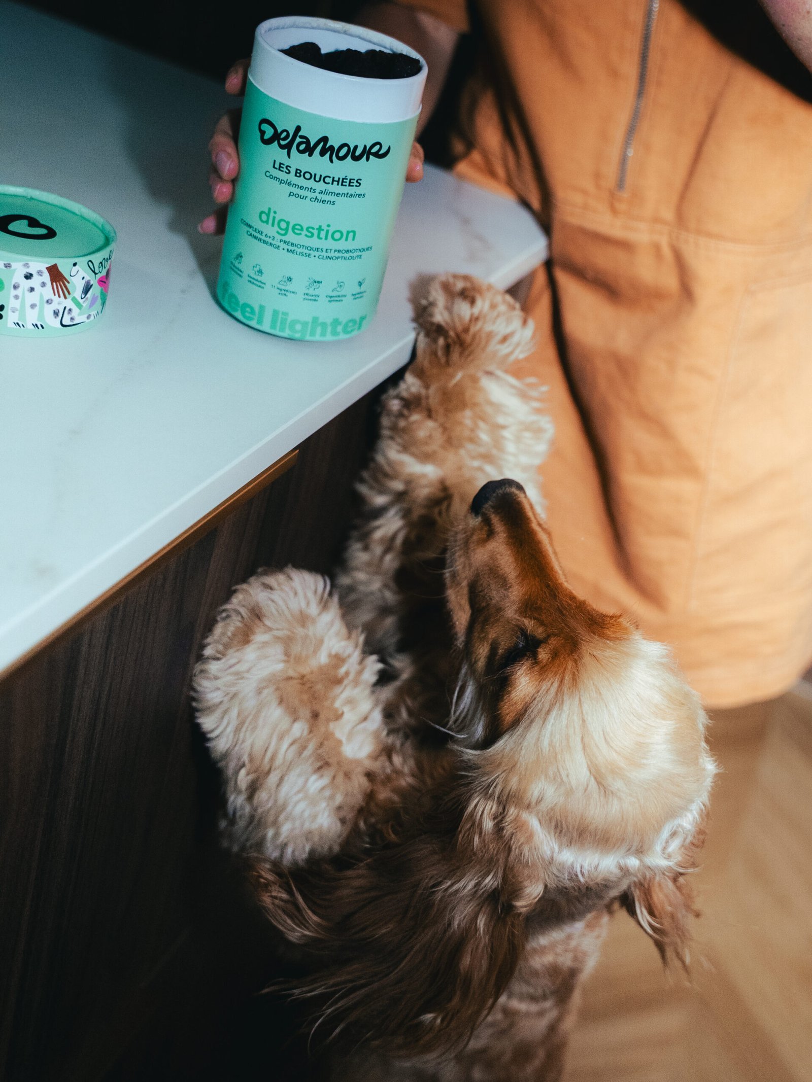 Bouchées Digestion – Image 3