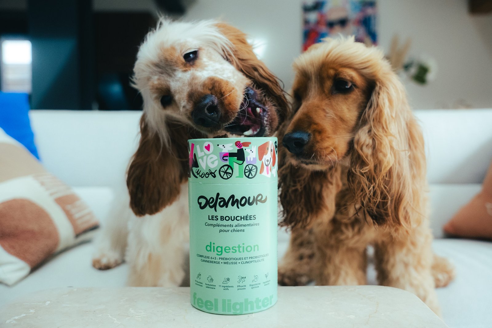 Bouchées Digestion – Image 5