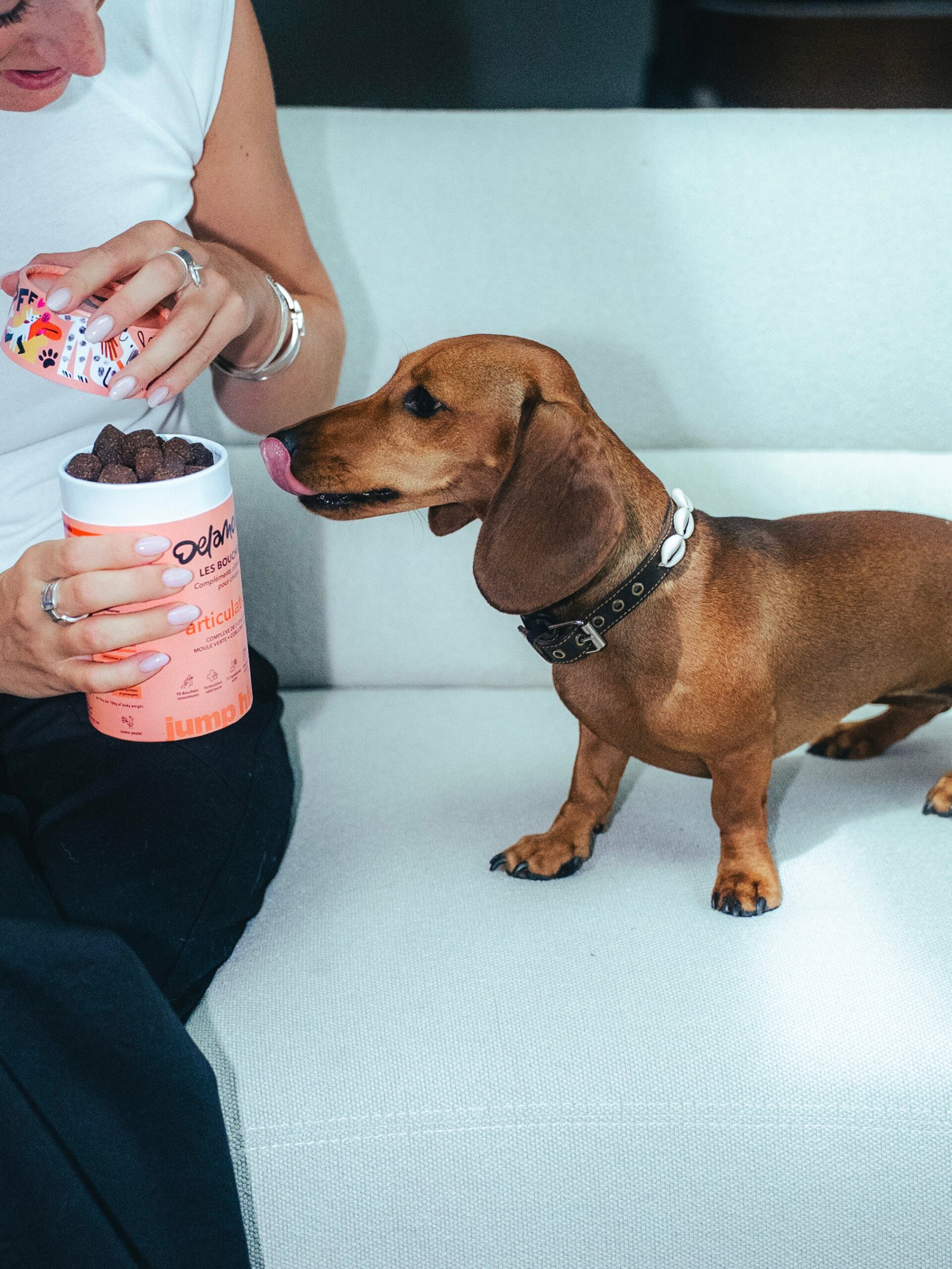 Bouchées Articulations – Image 4