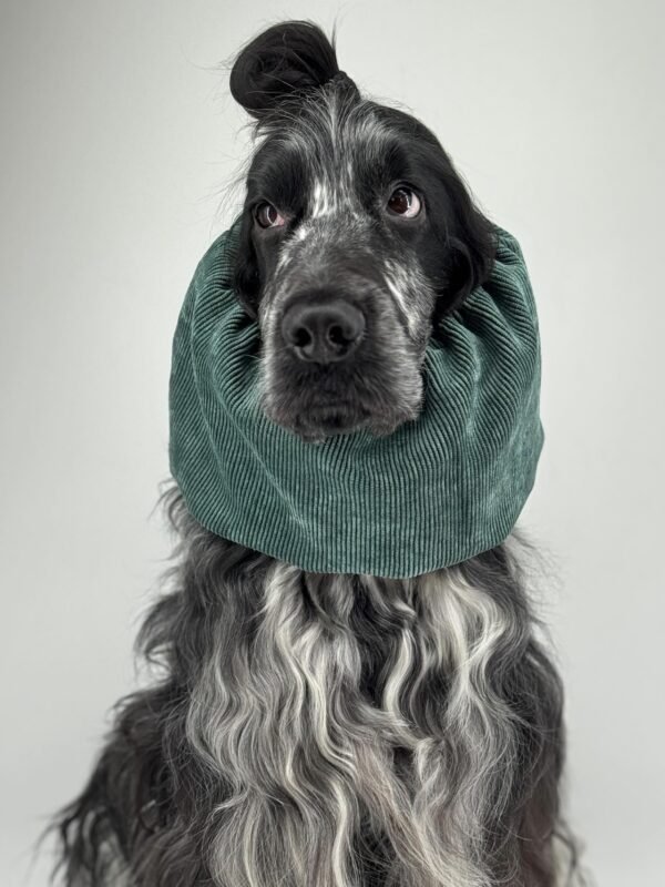 Snood en velours côtelé Vert sapin – Image 3
