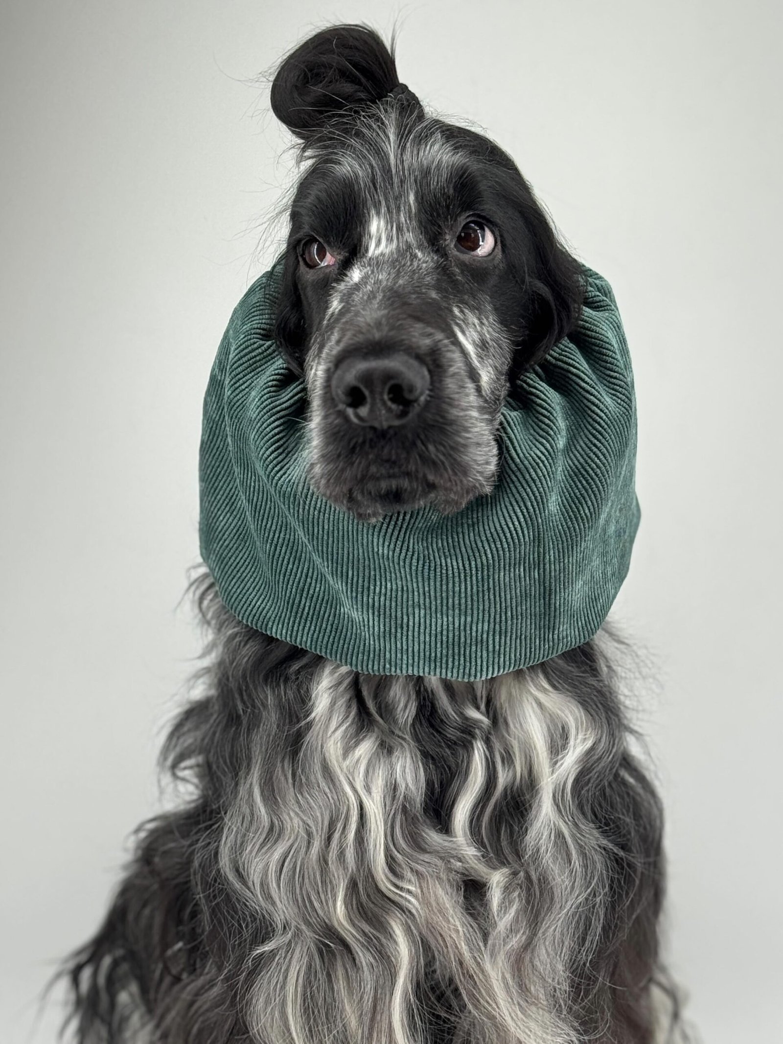 Snood en velours côtelé Vert sapin – Image 3
