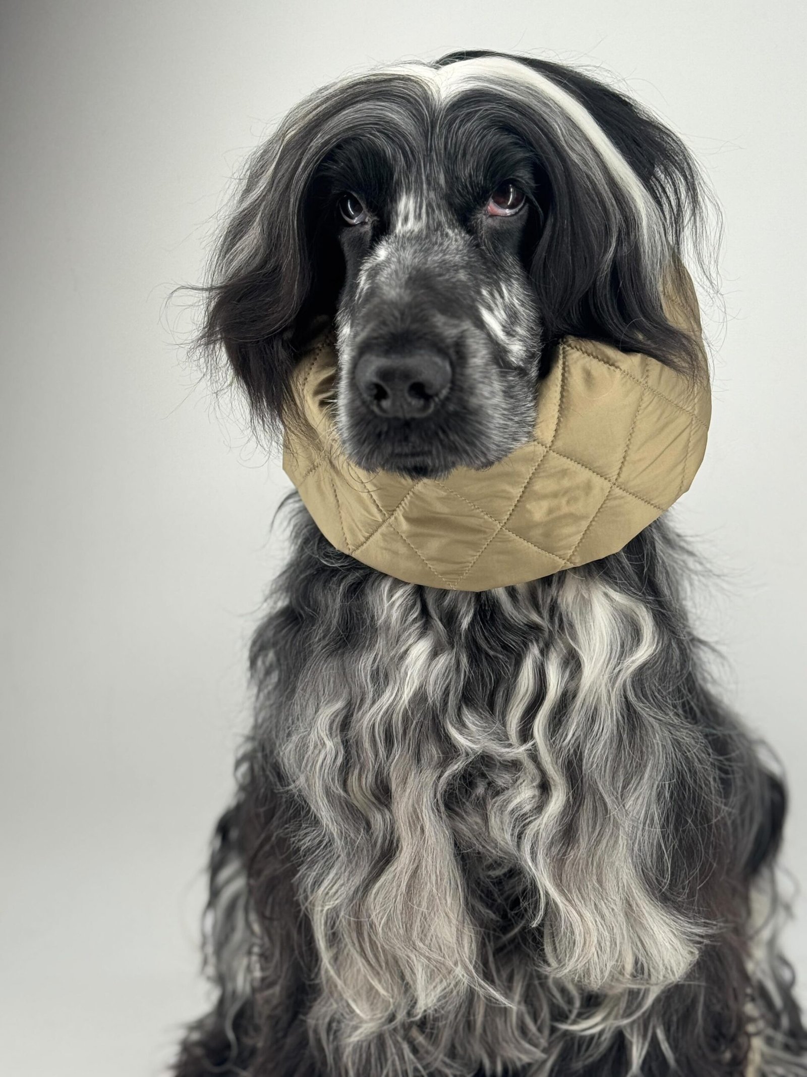 Snood doudoune réversible Kaki – Image 2