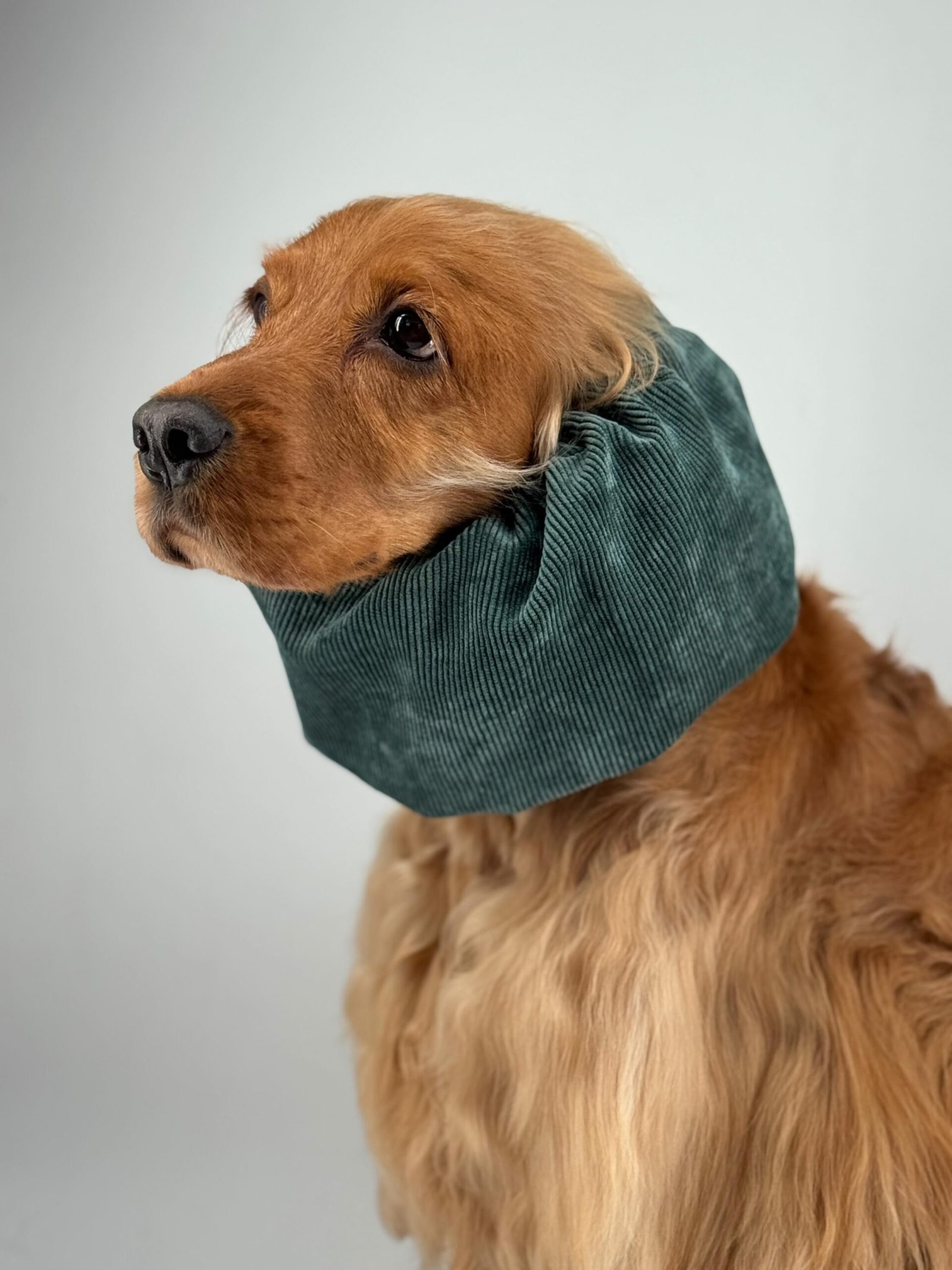 Snood en velours côtelé Vert sapin – Image 2
