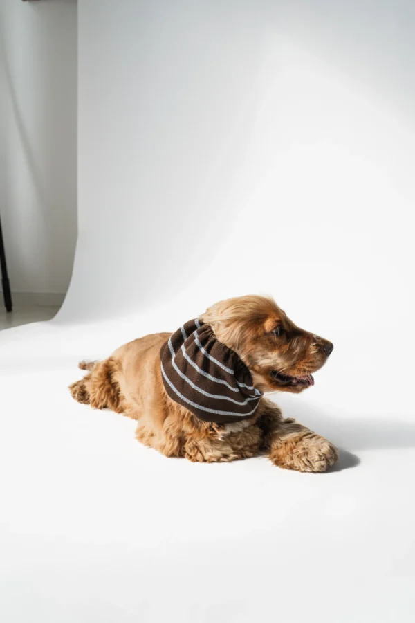 Snood tricoté rayé chocolat & bleu ciel – Image 2