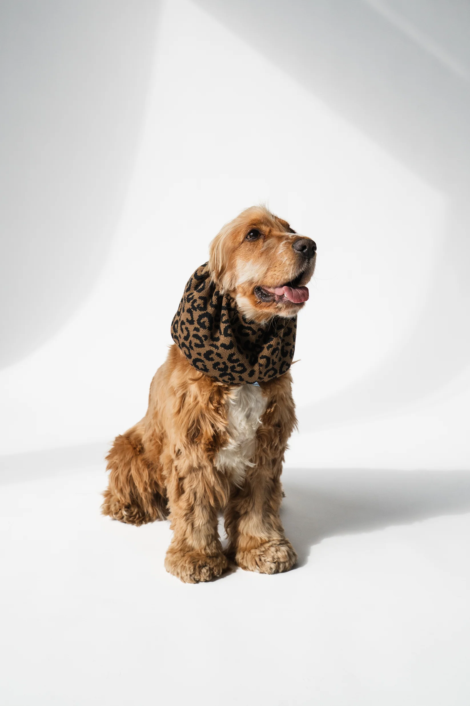Snood tricoté léopard – Image 2