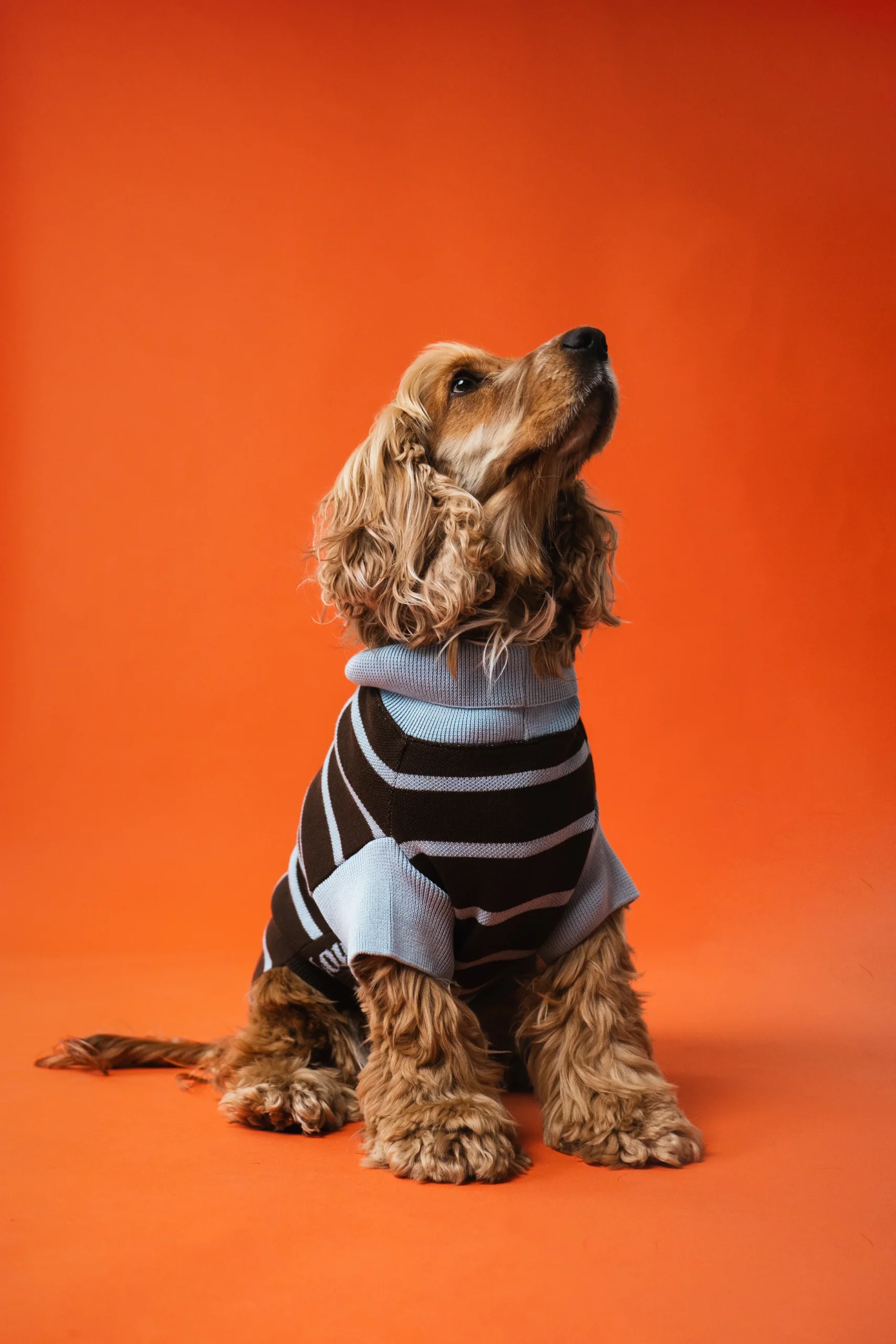 Pull en maille rayé chocolat & bleu ciel – Image 2