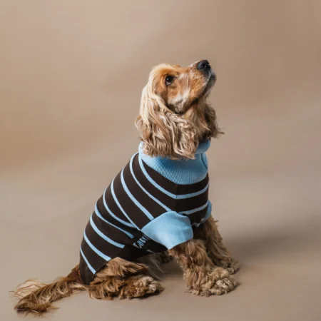 Pull en maille rayé chocolat & bleu ciel