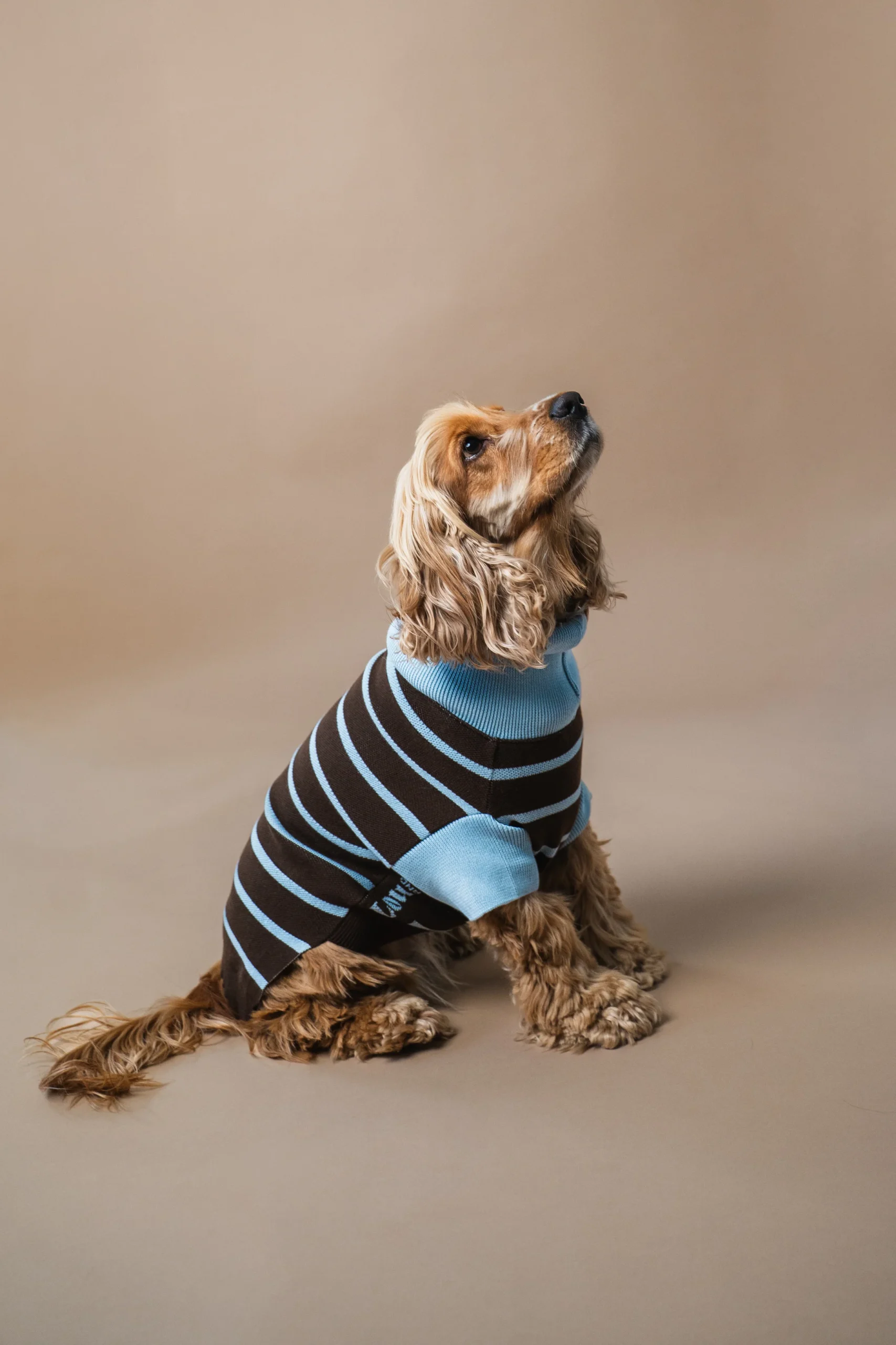 Pull en maille rayé chocolat & bleu ciel