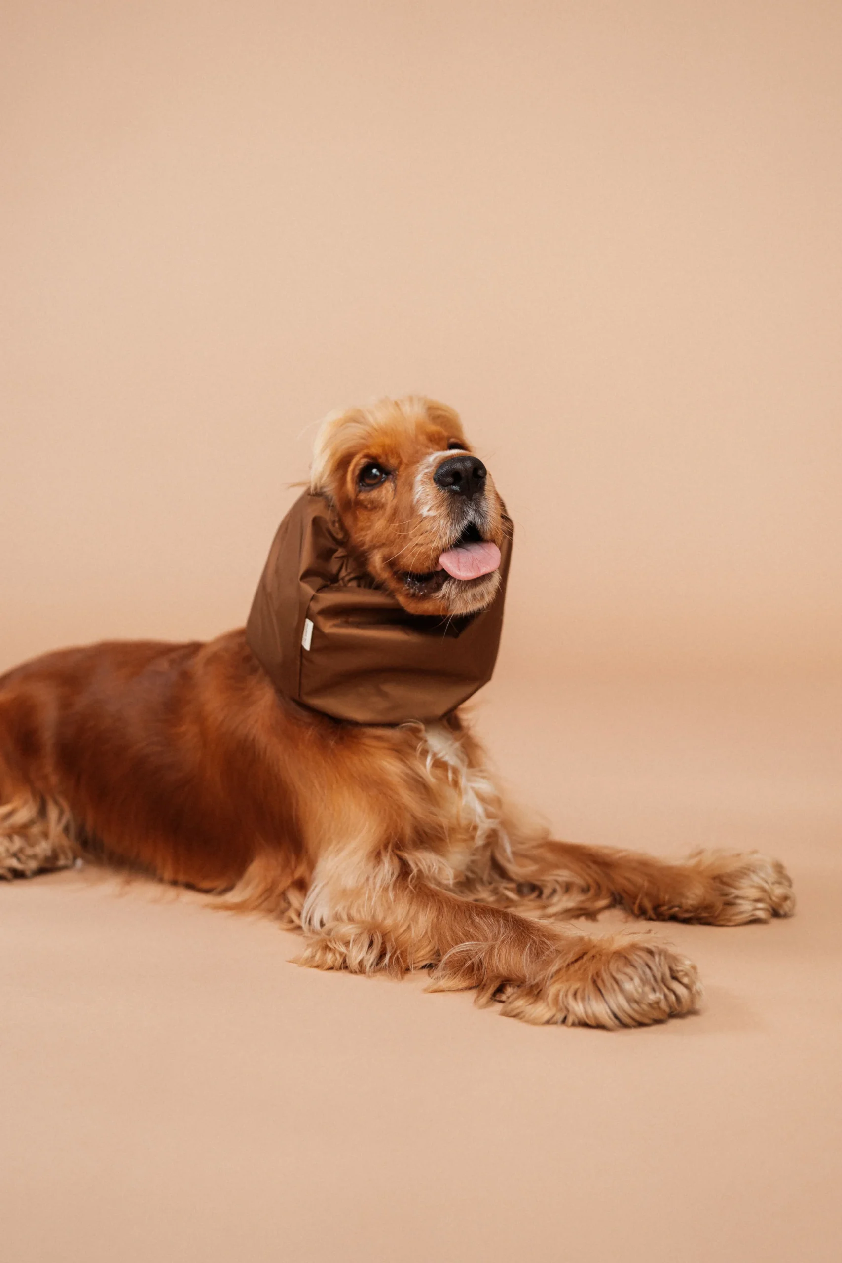 Snood imperméable marron – Image 3