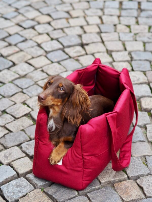 Sac de transport Bordeaux – Image 2