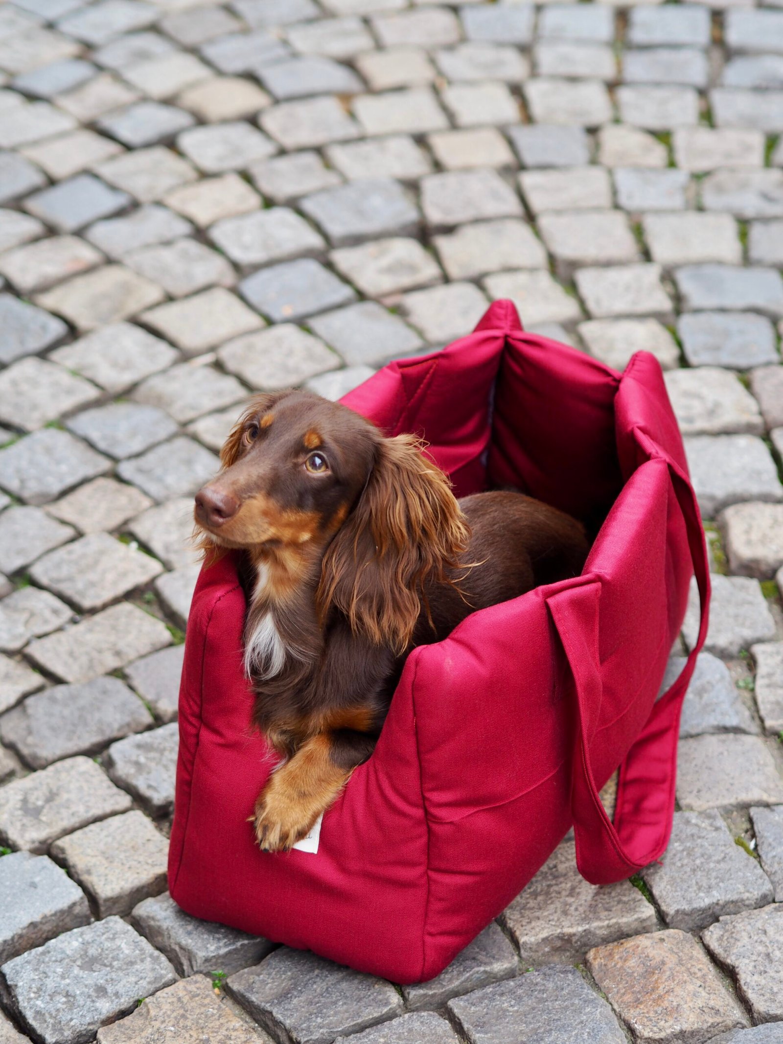 Sac de transport Bordeaux – Image 2