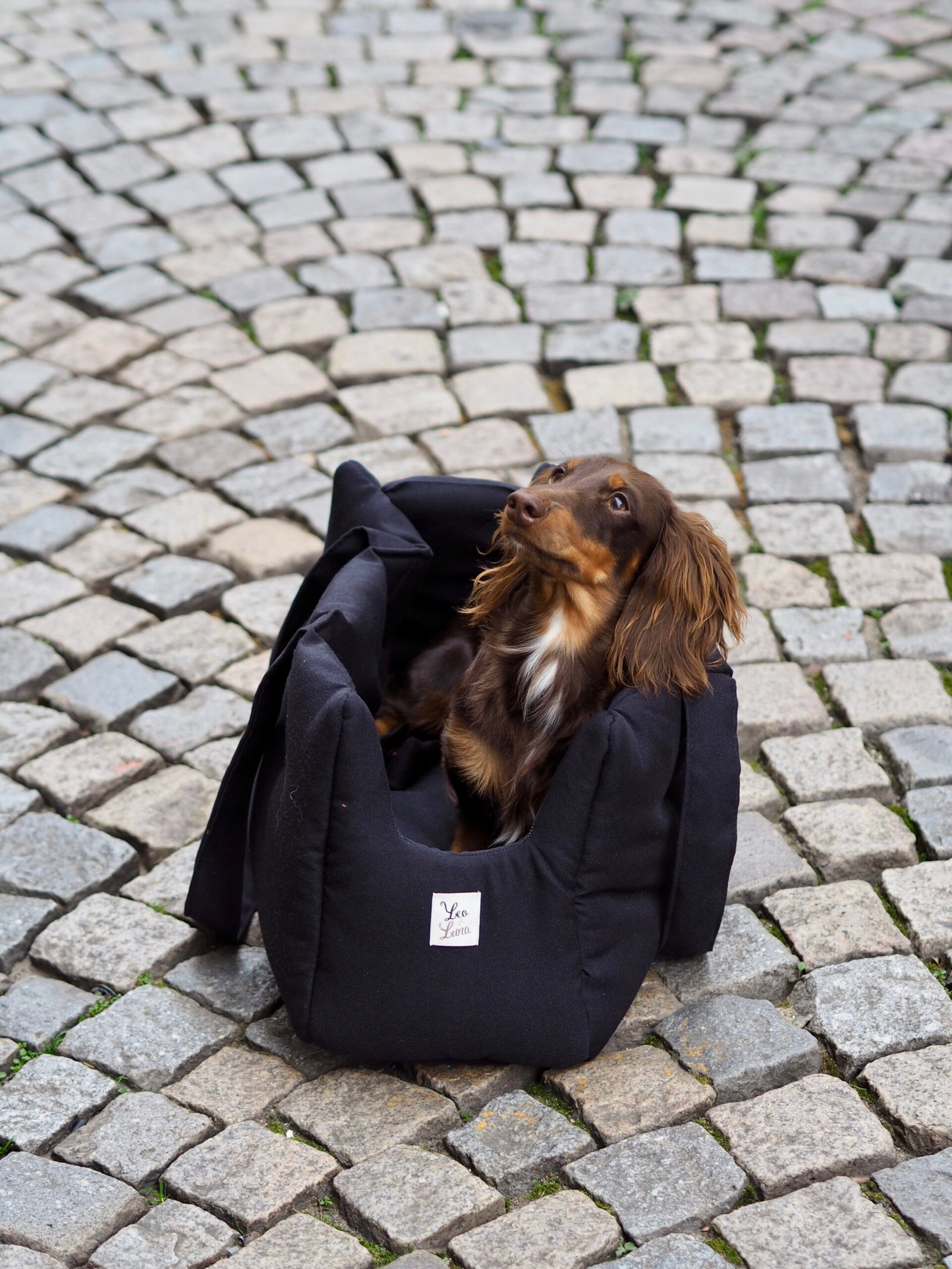 Sac de transport Noir – Image 2