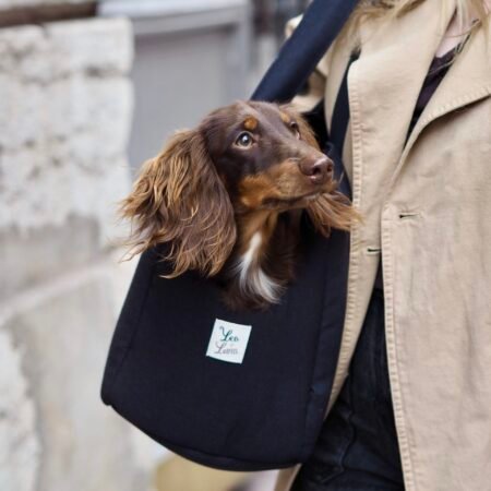 Sac de transport Noir