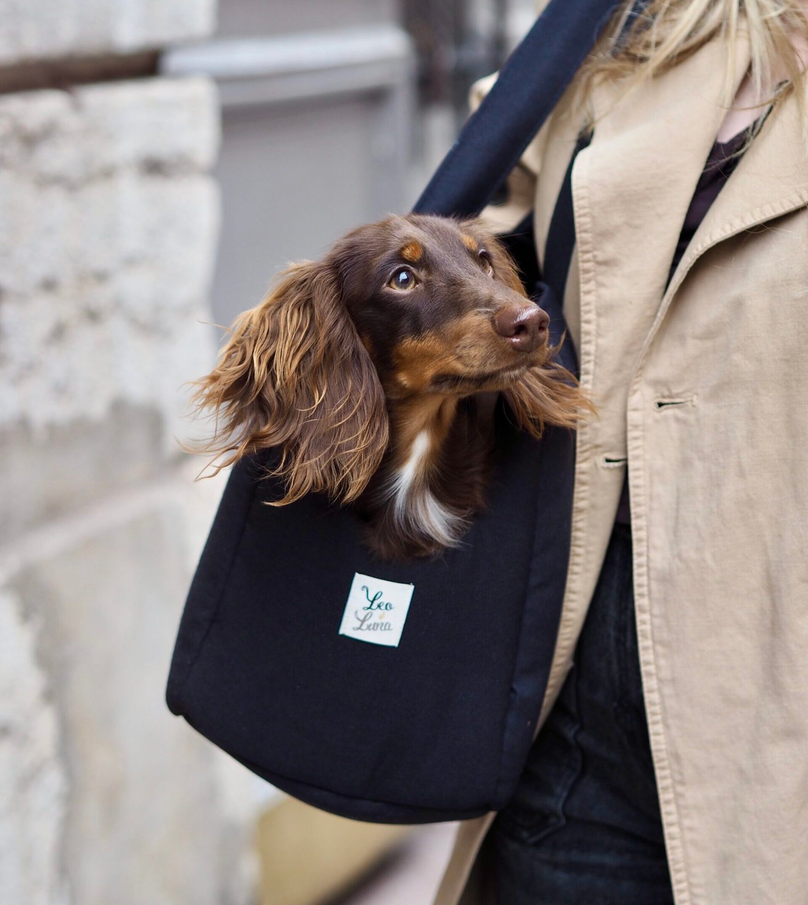 Sac de transport Noir