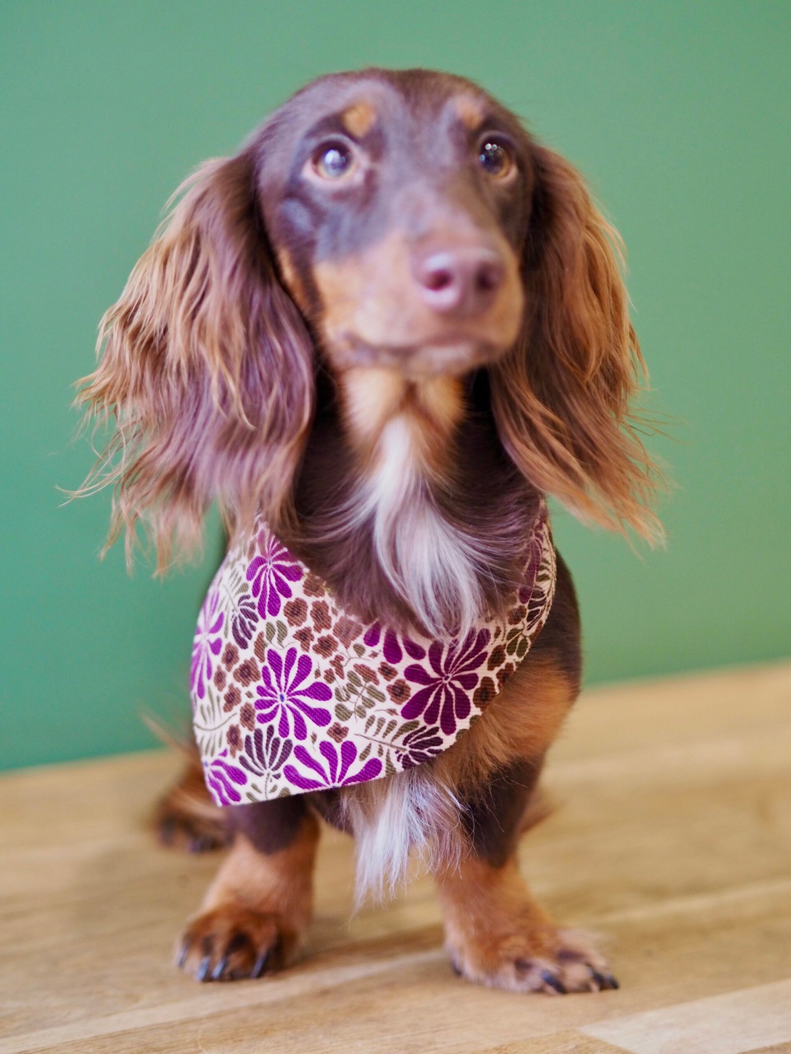 Bandana réversible à nouer <br> Fleuri Prune & Kaki – Image 2