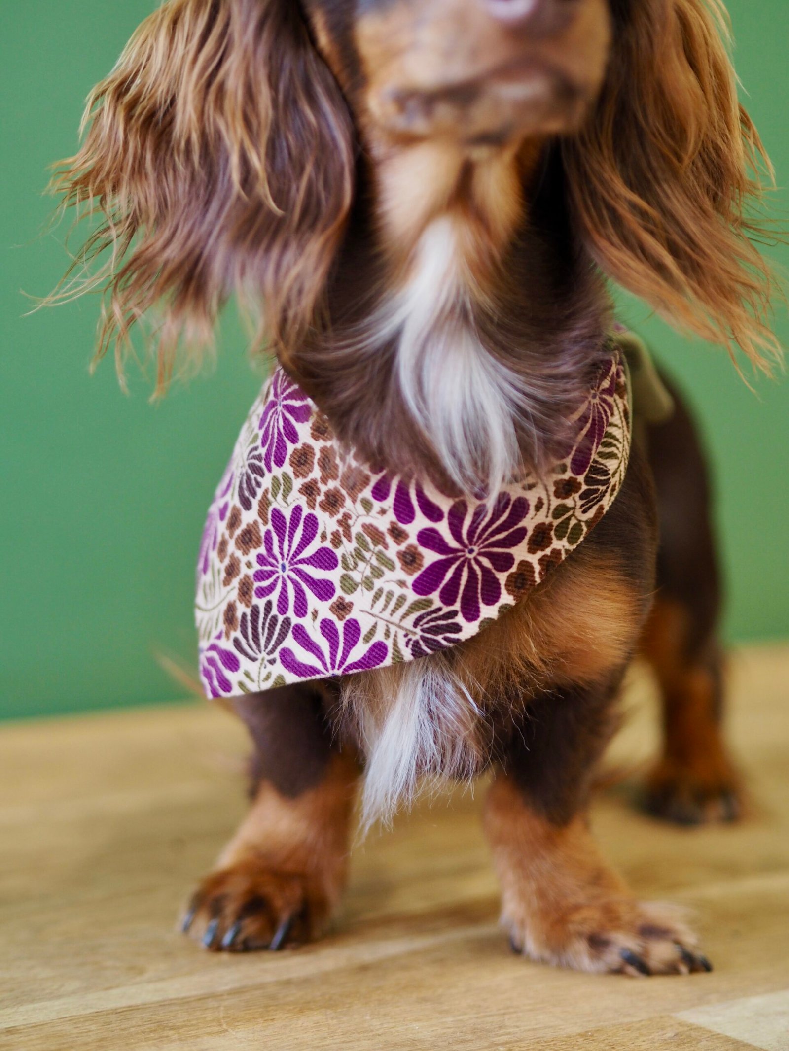 Bandana réversible à nouer <br> Fleuri Prune & Kaki