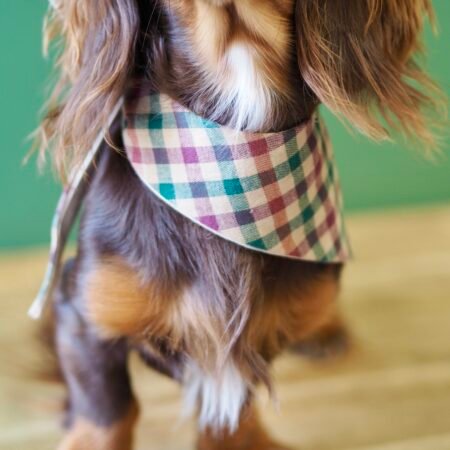 Bandana réversible à nouer <br> Vichy Bordeaux & Vert