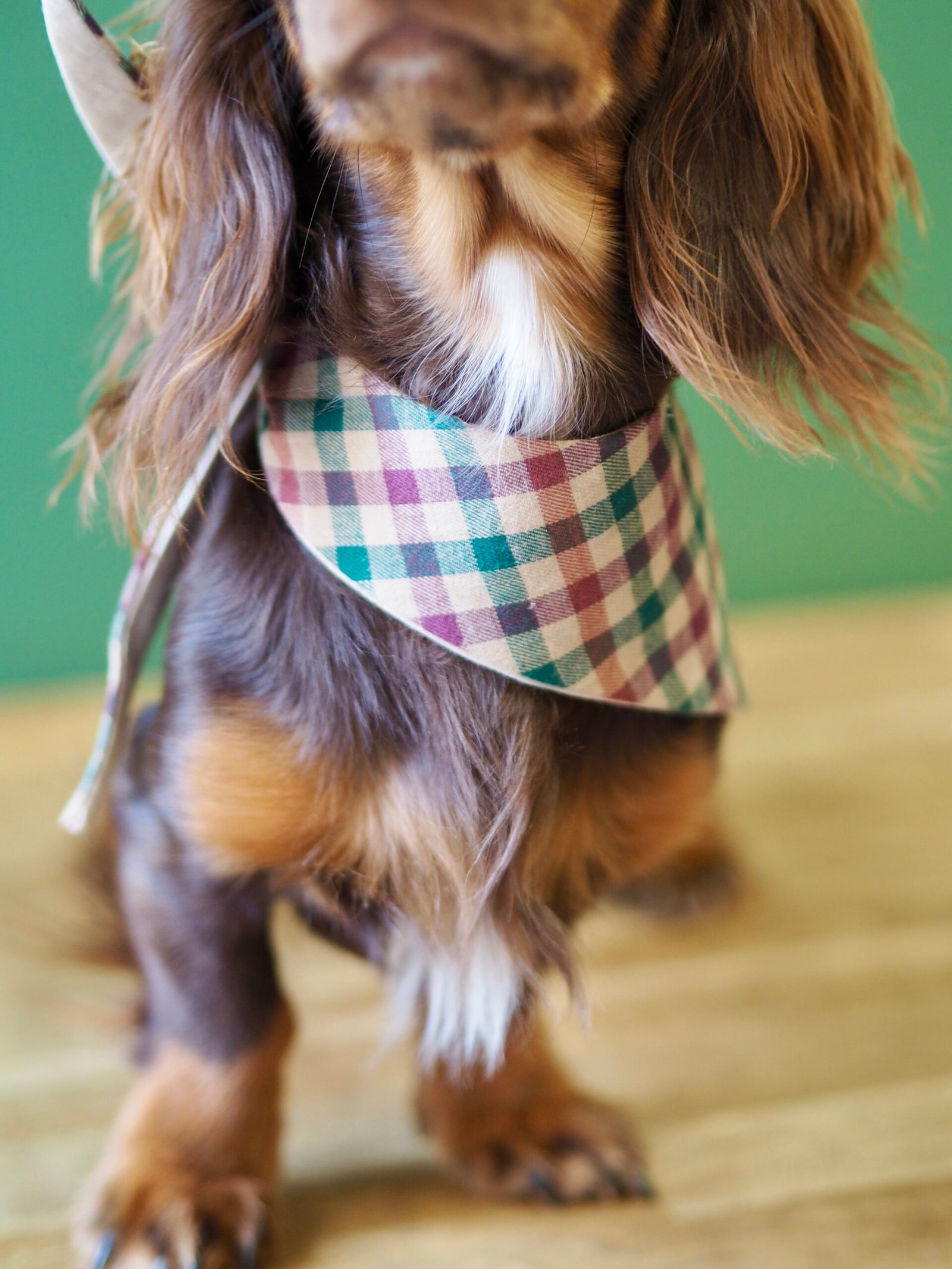 Bandana réversible à nouer <br> Vichy Bordeaux & Vert