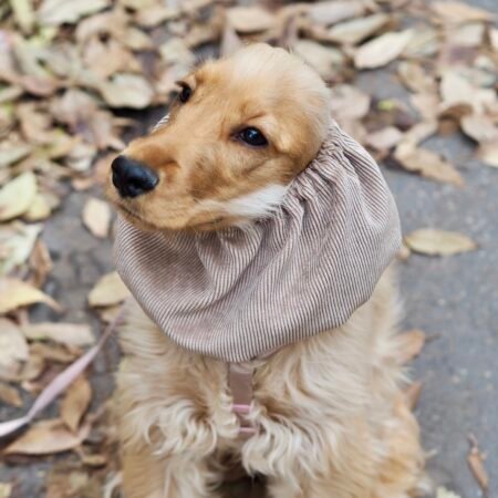 Snood en velours côtelé Beige