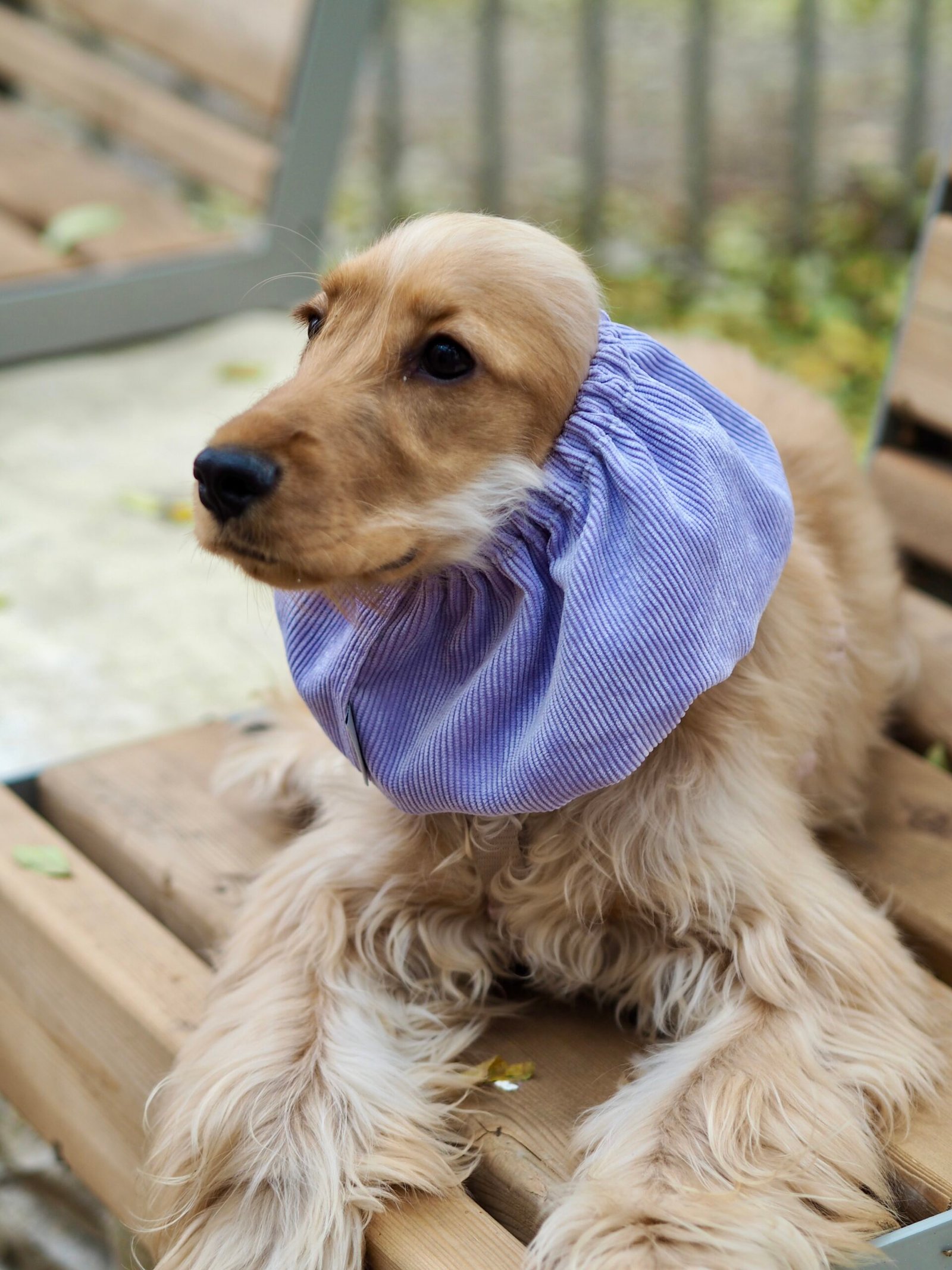 Snood en velours côtelé Lilas