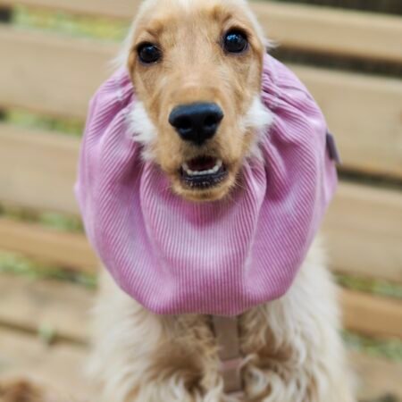 Snood en velours côtelé Rose poudré