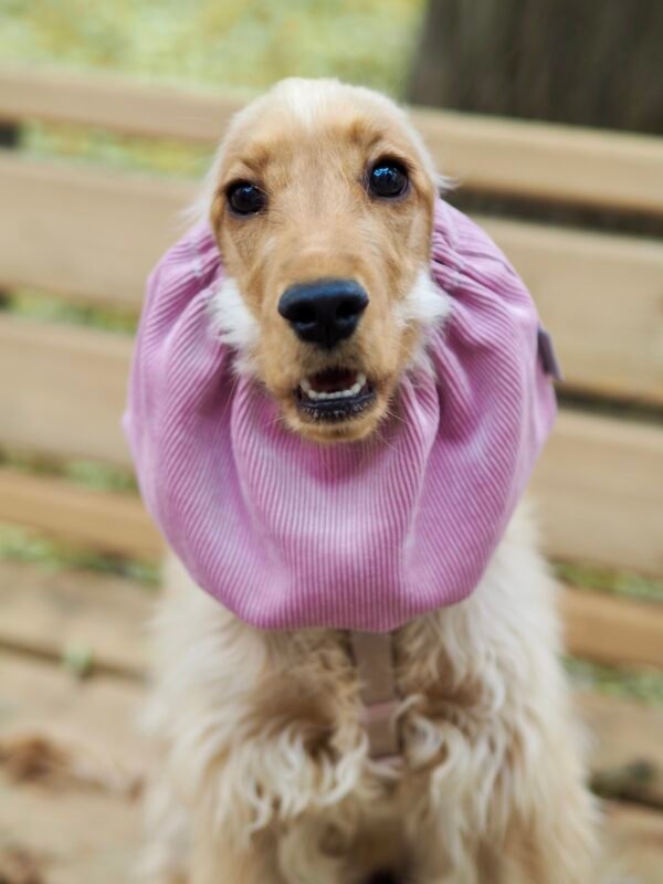 Snood en velours côtelé Rose poudré