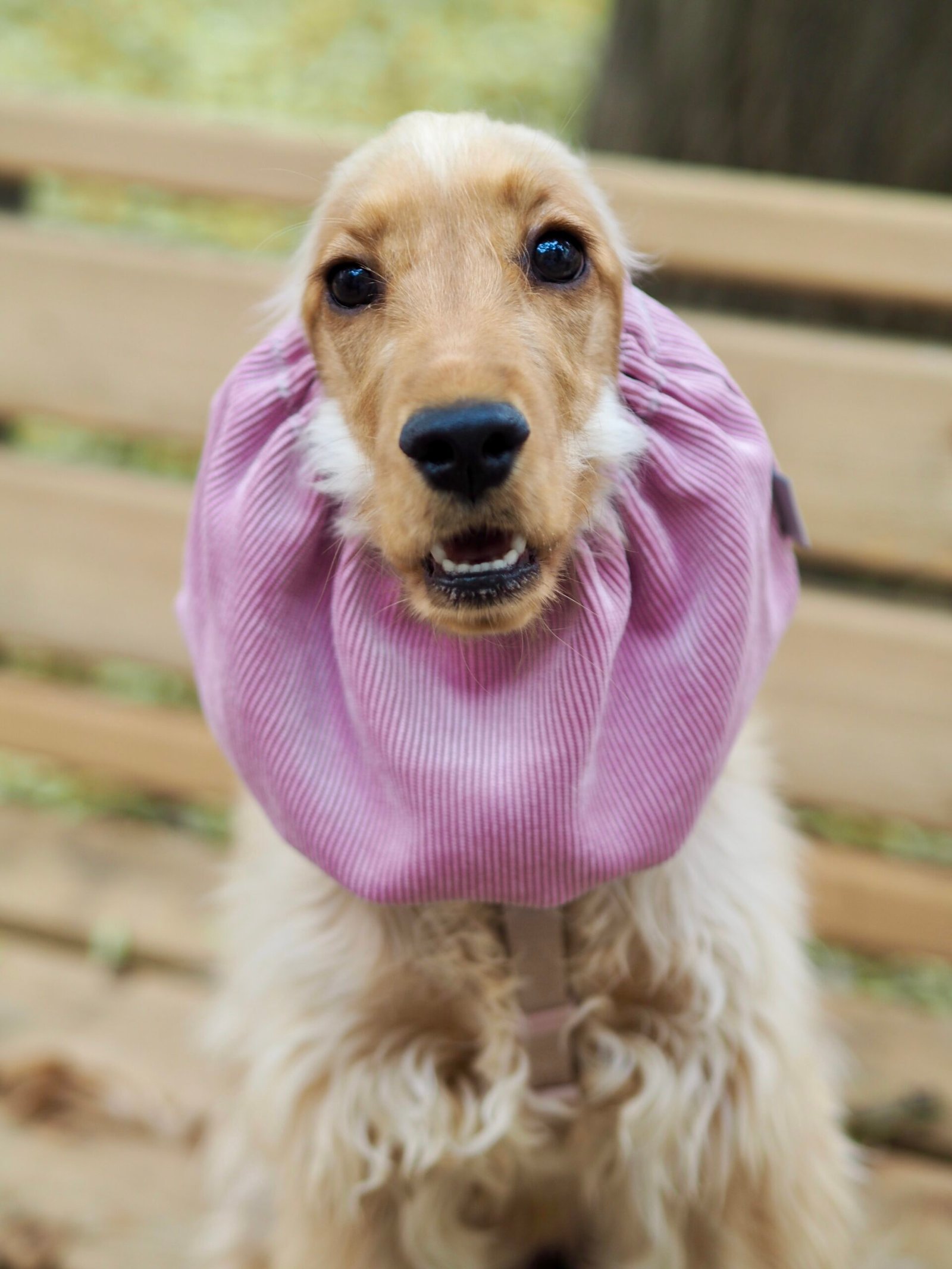 Snood en velours côtelé Rose poudré