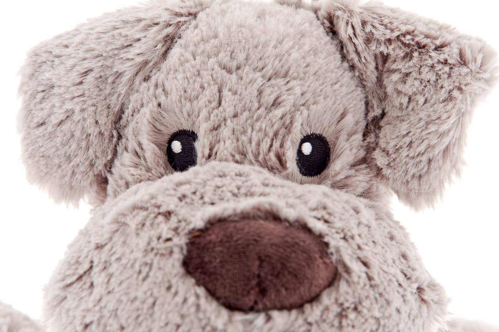 Peluche toute douce Chien – Image 6