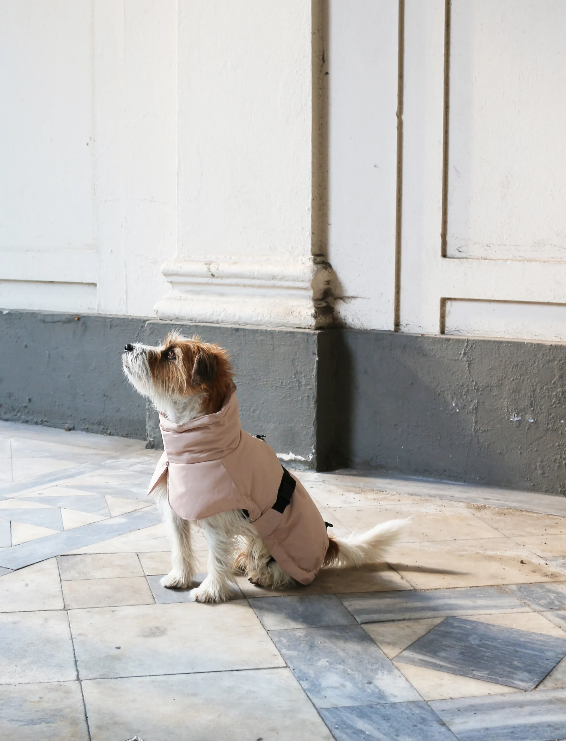 Veste d'hiver Rose poudré – Image 2