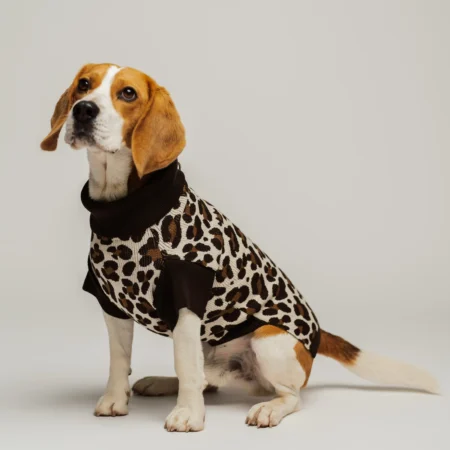Pull en maille léopard